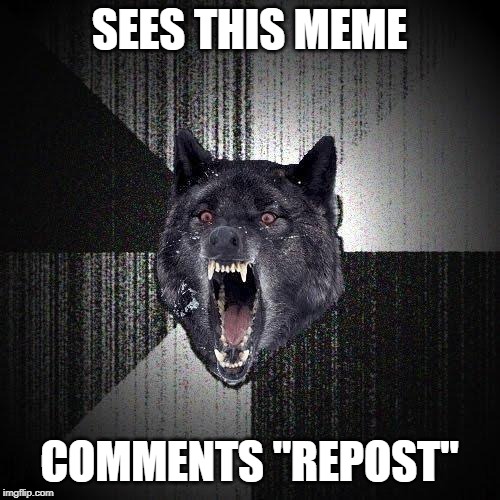 Insanity Wolf Meme | SEES THIS MEME COMMENTS "REPOST" | image tagged in memes,insanity wolf | made w/ Imgflip meme maker