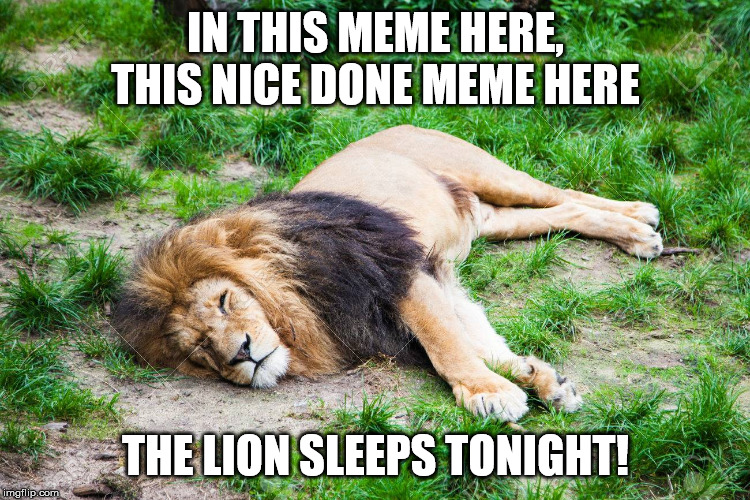 IN THIS MEME HERE, THIS NICE DONE MEME HERE; THE LION SLEEPS TONIGHT! | made w/ Imgflip meme maker