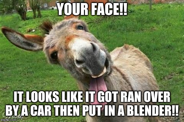 Laughing Donkey | YOUR FACE!! IT LOOKS LIKE IT GOT RAN OVER BY A CAR THEN PUT IN A BLENDER!! | image tagged in laughing donkey | made w/ Imgflip meme maker