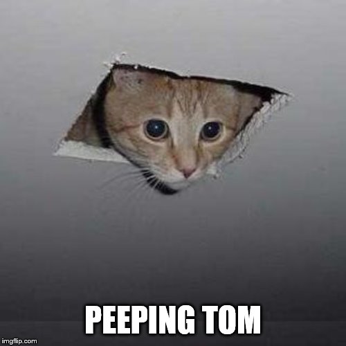 _______________________ | PEEPING TOM | image tagged in memes,ceiling cat | made w/ Imgflip meme maker