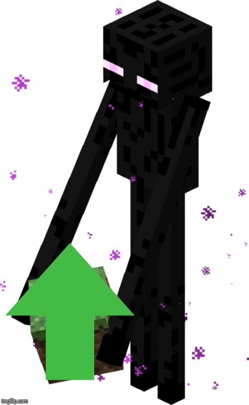 enderman with block | image tagged in enderman with block | made w/ Imgflip meme maker