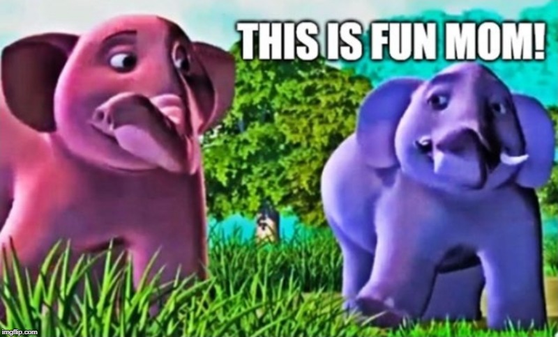 This is fun Mom! | image tagged in elephant | made w/ Imgflip meme maker