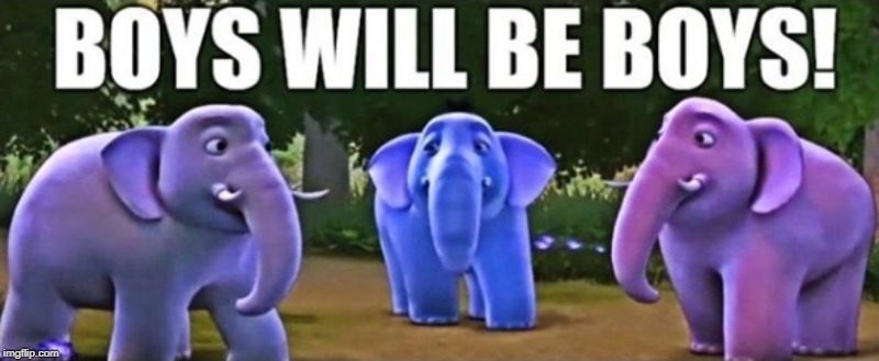 Boys Will Be Boys! | image tagged in elephant | made w/ Imgflip meme maker