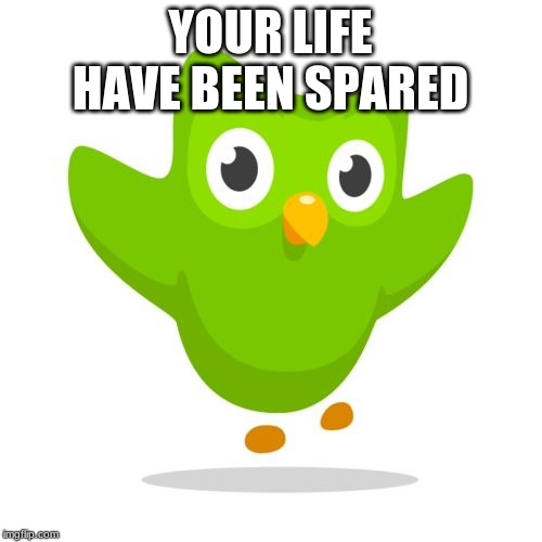 things duolingo teaches you | YOUR LIFE HAVE BEEN SPARED | image tagged in things duolingo teaches you | made w/ Imgflip meme maker