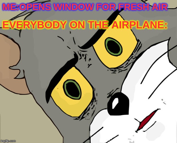 Unsettled Tom Meme | ME:OPENS WINDOW FOR FRESH AIR; EVERYBODY ON THE AIRPLANE: | image tagged in memes,unsettled tom | made w/ Imgflip meme maker