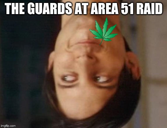 Spiderman Peter Parker | THE GUARDS AT AREA 51 RAID | image tagged in memes,spiderman peter parker | made w/ Imgflip meme maker