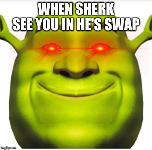Sherk | WHEN SHERK SEE YOU IN HE'S SWAP | image tagged in sherk | made w/ Imgflip meme maker
