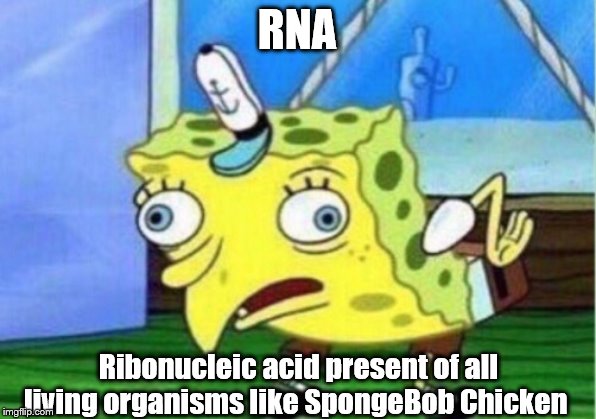 Mocking Spongebob | RNA; Ribonucleic acid present of all living organisms like SpongeBob Chicken | image tagged in memes,mocking spongebob | made w/ Imgflip meme maker