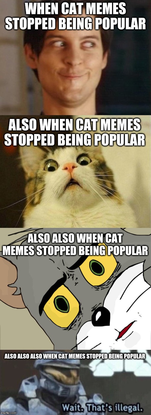 There are only cat gifs now | WHEN CAT MEMES STOPPED BEING POPULAR; ALSO WHEN CAT MEMES STOPPED BEING POPULAR; ALSO ALSO WHEN CAT MEMES STOPPED BEING POPULAR; ALSO ALSO ALSO WHEN CAT MEMES STOPPED BEING POPULAR | image tagged in memes,spiderman peter parker,scared cat,wait thats illegal,unsettled tom,cats | made w/ Imgflip meme maker