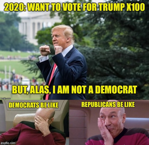 2020 Election | image tagged in 2020,election,trump,democrats,republicans | made w/ Imgflip meme maker