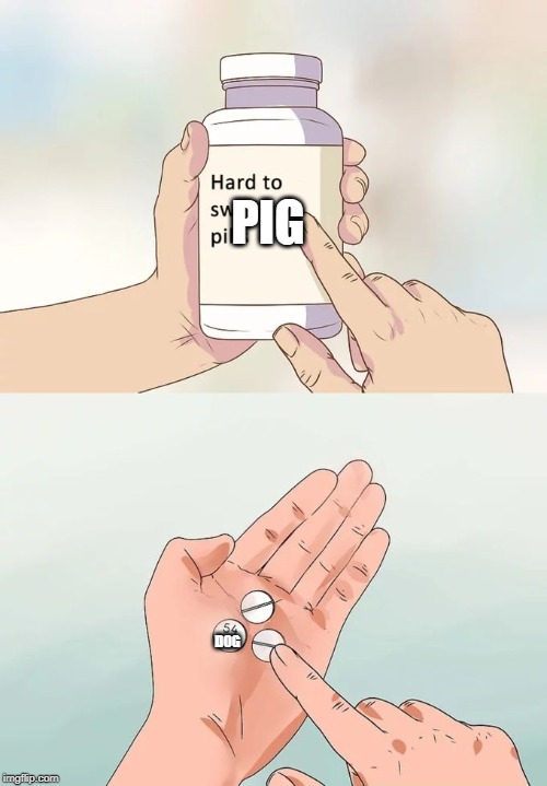 Hard To Swallow Pills Meme | PIG; DOG | image tagged in memes,hard to swallow pills | made w/ Imgflip meme maker