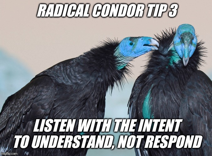 Radical Condor | RADICAL CONDOR TIP 3; LISTEN WITH THE INTENT TO UNDERSTAND, NOT RESPOND | image tagged in radical,birds | made w/ Imgflip meme maker