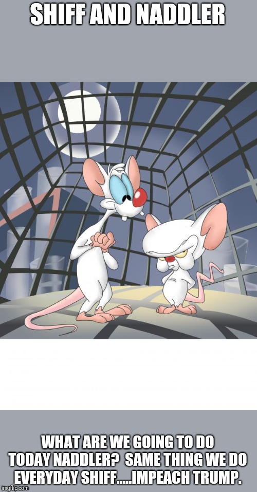 Pinky and the brain | SHIFF AND NADDLER; WHAT ARE WE GOING TO DO TODAY NADDLER?  SAME THING WE DO EVERYDAY SHIFF.....IMPEACH TRUMP. | image tagged in pinky and the brain | made w/ Imgflip meme maker