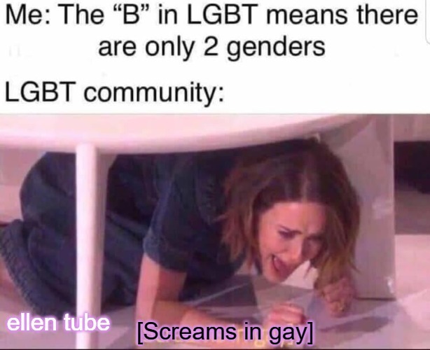 The "B" in LGBT Proves there are only 2 genders | image tagged in lgbt,liquor guns bacon and tits,gender dysphoria,gender confusion,tired of hearing about transgenders,2 genders | made w/ Imgflip meme maker