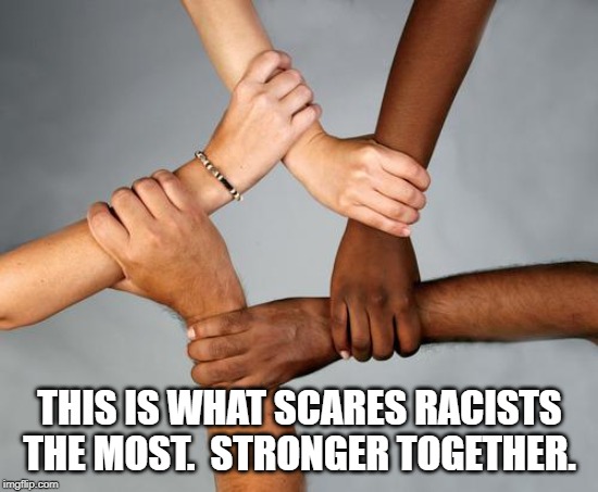 THIS IS WHAT SCARES RACISTS THE MOST.  STRONGER TOGETHER. | made w/ Imgflip meme maker