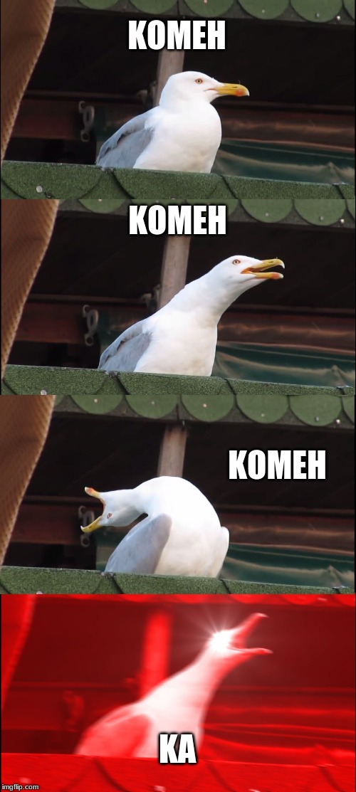Inhaling Seagull | KOMEH; KOMEH; KOMEH; KA | image tagged in memes,inhaling seagull | made w/ Imgflip meme maker