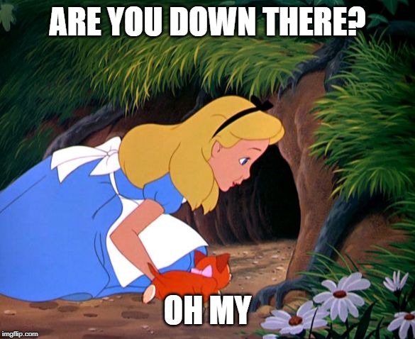 Alice Looking Down the Rabbit Hole | ARE YOU DOWN THERE? OH MY | image tagged in alice looking down the rabbit hole | made w/ Imgflip meme maker