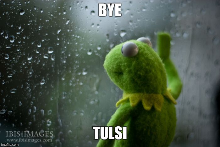 kermit window | BYE TULSI | image tagged in kermit window | made w/ Imgflip meme maker