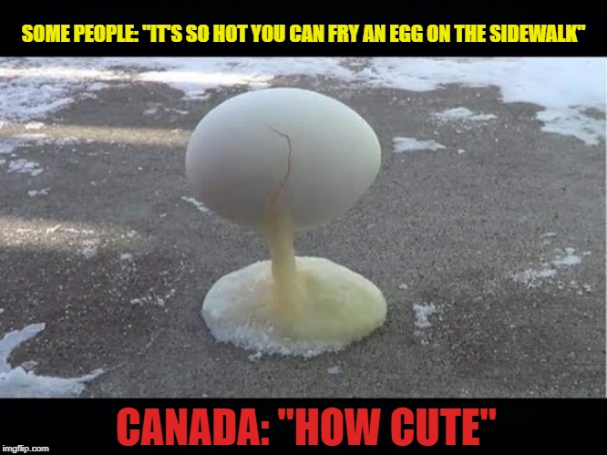 How Cold Is It ? |  SOME PEOPLE: "IT'S SO HOT YOU CAN FRY AN EGG ON THE SIDEWALK"; CANADA: "HOW CUTE" | image tagged in egg,hot,fry,sidewalk,canada,cute | made w/ Imgflip meme maker