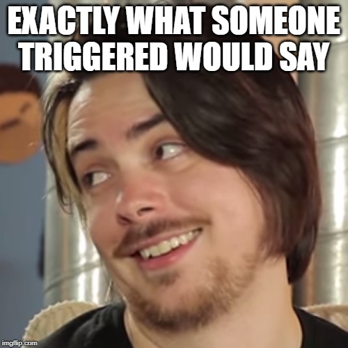 That sounds like your problem | EXACTLY WHAT SOMEONE TRIGGERED WOULD SAY | image tagged in that sounds like your problem | made w/ Imgflip meme maker