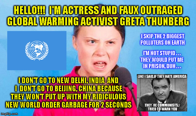 HELLO!!!  I'M ACTRESS AND FAUX OUTRAGED
GLOBAL WARMING ACTIVIST GRETA THUNBERG; I SKIP THE 2 BIGGEST
POLLUTERS ON EARTH; I'M NOT STUPID . . .
THEY WOULD PUT ME
IN PRISON, DUH . . . I DON'T GO TO NEW DELHI, INDIA  AND
I  DON'T GO TO BEIJING, CHINA BECAUSE
THEY WON'T PUT UP WITH MY RIDICULOUS
NEW WORLD ORDER GARBAGE FOR 2 SECONDS | made w/ Imgflip meme maker