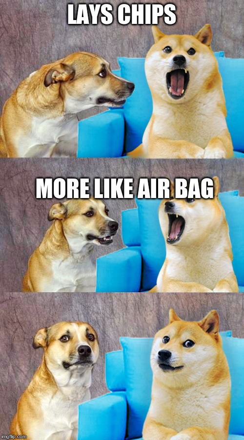 Dad Joke Doge | LAYS CHIPS MORE LIKE AIR BAG | image tagged in dad joke doge | made w/ Imgflip meme maker