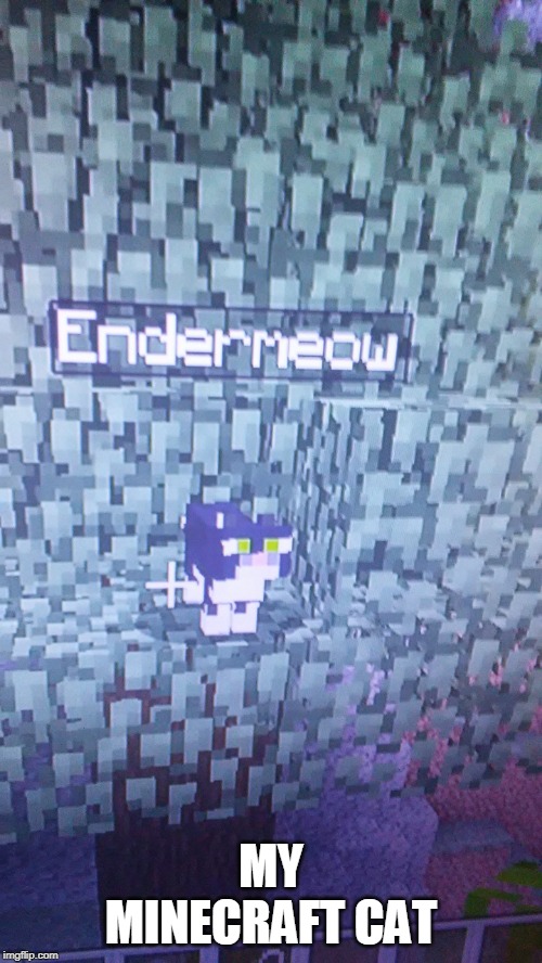 MY MINECRAFT CAT | image tagged in minecraft,cats | made w/ Imgflip meme maker