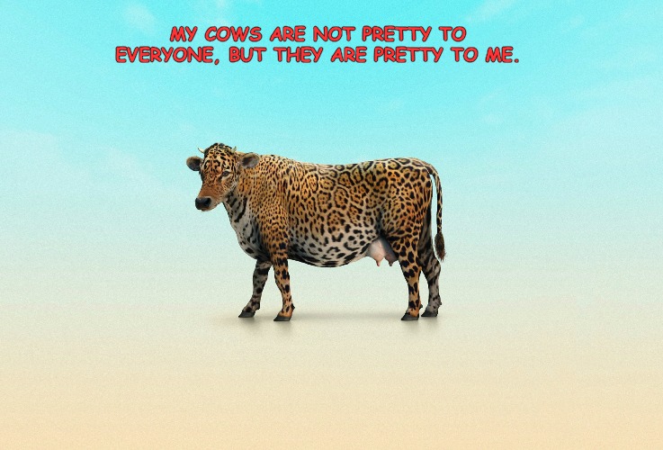 Oops! Thats not A wolf in sheep's clothing. Talk about your memes... | MY COWS ARE NOT PRETTY TO EVERYONE, BUT THEY ARE PRETTY TO ME. | image tagged in timiddeer,memes | made w/ Imgflip meme maker