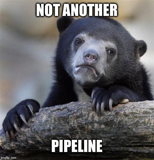 Confession Bear | NOT ANOTHER; PIPELINE | image tagged in memes,confession bear | made w/ Imgflip meme maker