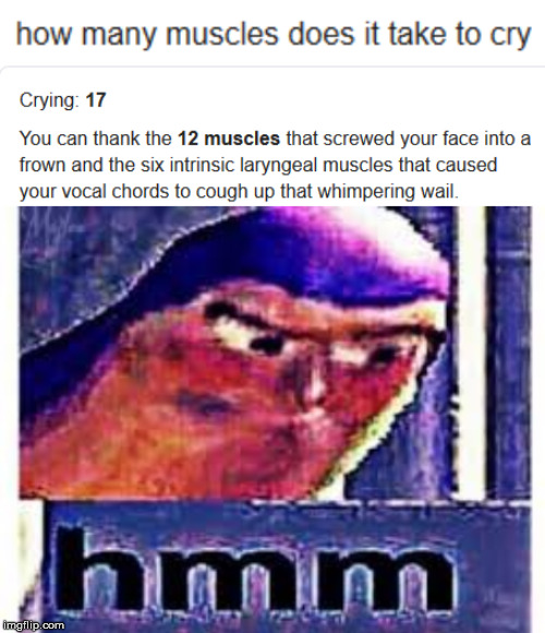 Blame the Muscles | image tagged in buzz lightyear,hmm | made w/ Imgflip meme maker