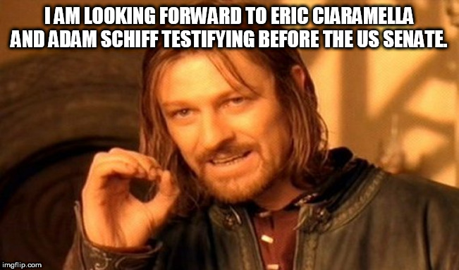 One Does Not Simply Meme | I AM LOOKING FORWARD TO ERIC CIARAMELLA AND ADAM SCHIFF TESTIFYING BEFORE THE US SENATE. | image tagged in memes,one does not simply | made w/ Imgflip meme maker
