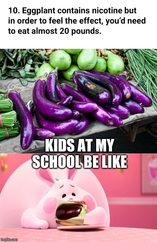 KIDS AT MY SCHOOL BE LIKE | image tagged in bunny eating pancakes | made w/ Imgflip meme maker