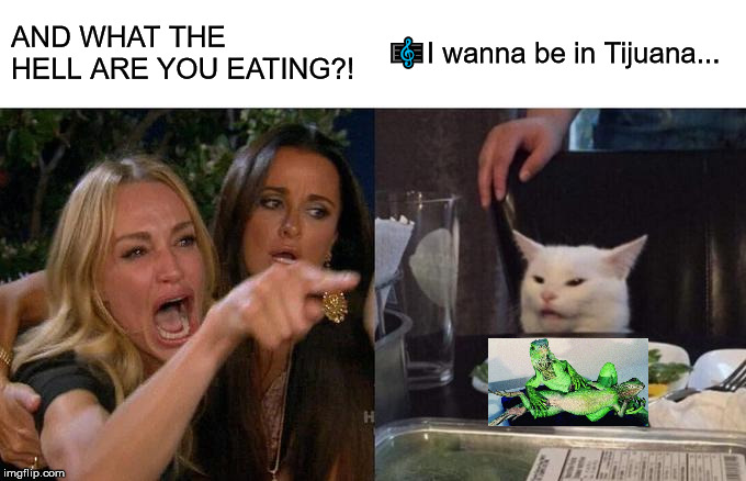 Woman Yelling At Cat | AND WHAT THE HELL ARE YOU EATING?! 🎼I wanna be in Tijuana... | image tagged in memes,woman yelling at cat | made w/ Imgflip meme maker