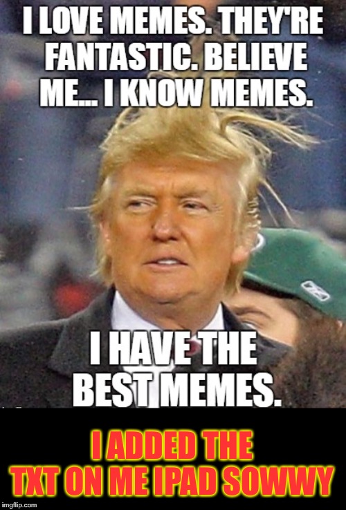 I have the best memes | I ADDED THE TXT ON ME IPAD SOWWY | image tagged in trump,donald trump,09pandaboy,meme,memes,the best | made w/ Imgflip meme maker