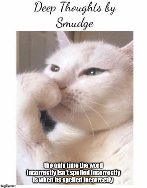 deep thoughts with smudge | the only time the word incorrectly isn't spelled incorrectly is when its spelled incorrectly | image tagged in deep thoughts | made w/ Imgflip meme maker