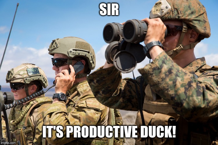 USMC Australian Army Soldiers Radio binoculars lookout | SIR IT'S PRODUCTIVE DUCK! | image tagged in usmc australian army soldiers radio binoculars lookout | made w/ Imgflip meme maker