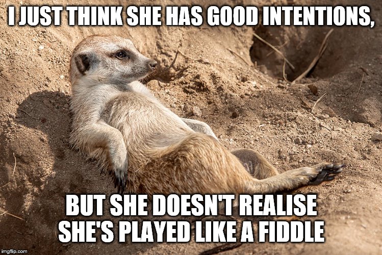 Reclining Meerkat | I JUST THINK SHE HAS GOOD INTENTIONS, BUT SHE DOESN'T REALISE SHE'S PLAYED LIKE A FIDDLE | image tagged in reclining meerkat | made w/ Imgflip meme maker