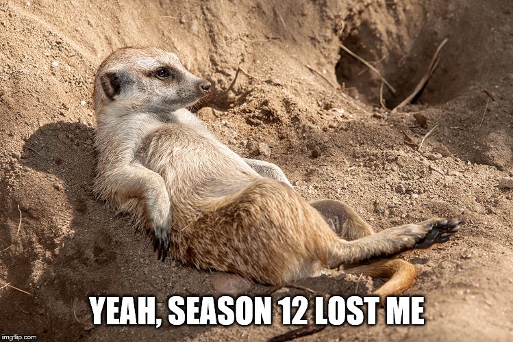 Reclining Meerkat | YEAH, SEASON 12 LOST ME | image tagged in reclining meerkat | made w/ Imgflip meme maker