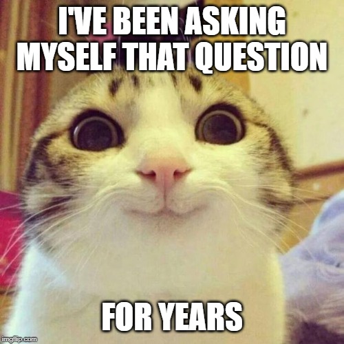 Smiling Cat Meme | I'VE BEEN ASKING MYSELF THAT QUESTION FOR YEARS | image tagged in memes,smiling cat | made w/ Imgflip meme maker