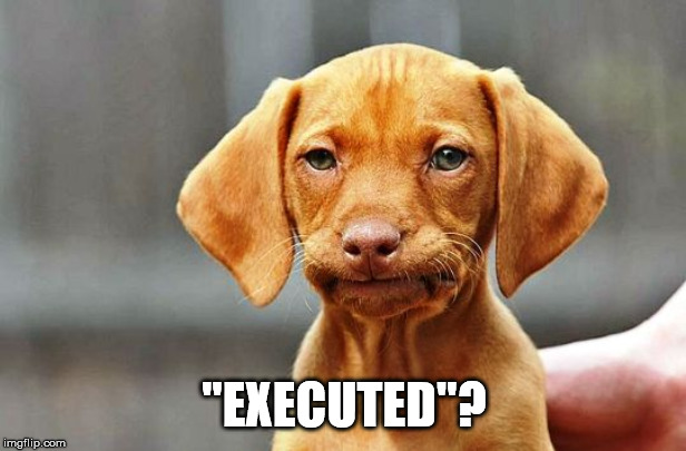 Frowning Dog | "EXECUTED"? | image tagged in frowning dog | made w/ Imgflip meme maker