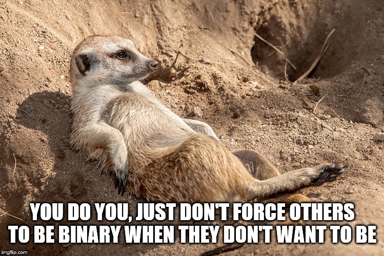 Reclining Meerkat | YOU DO YOU, JUST DON'T FORCE OTHERS TO BE BINARY WHEN THEY DON'T WANT TO BE | image tagged in reclining meerkat | made w/ Imgflip meme maker