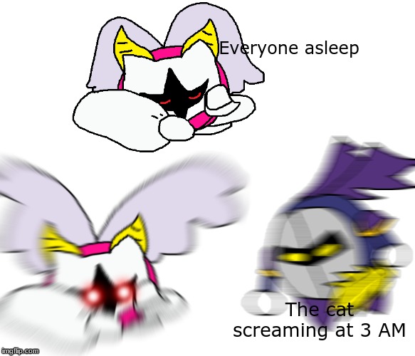 Everyone asleep; The cat screaming at 3 AM | made w/ Imgflip meme maker