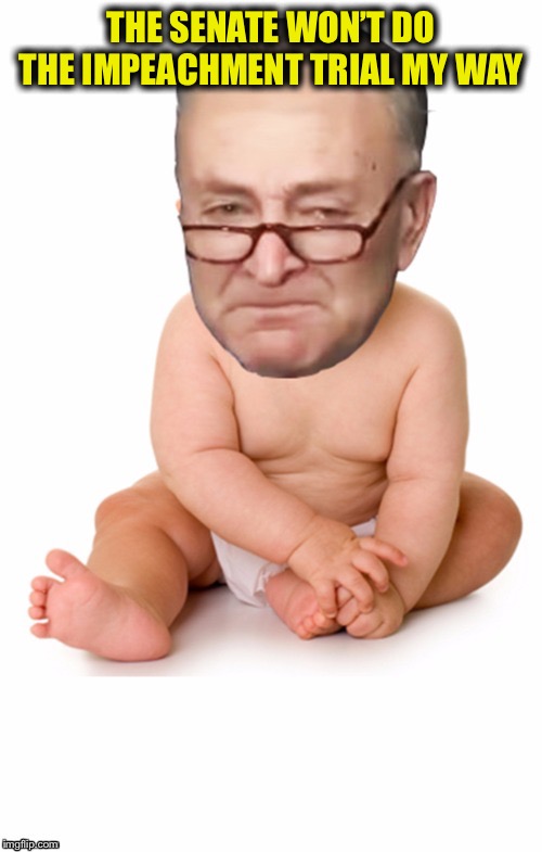 Sorry Schmuckles, the tables have turned on your sorry ass party | THE SENATE WON’T DO THE IMPEACHMENT TRIAL MY WAY | image tagged in chuck schumer crying,chuck schumer,democrats,trump impeachment | made w/ Imgflip meme maker