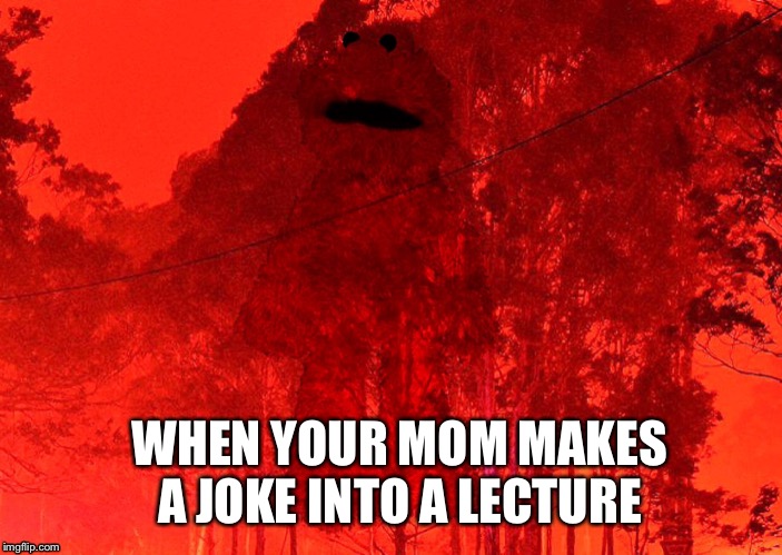 Australia fires Elmo | WHEN YOUR MOM MAKES A JOKE INTO A LECTURE | image tagged in australia fires elmo | made w/ Imgflip meme maker