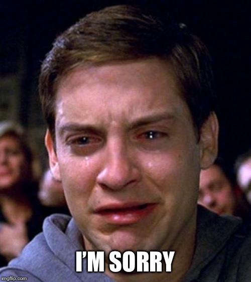 crying peter parker | I’M SORRY | image tagged in crying peter parker | made w/ Imgflip meme maker