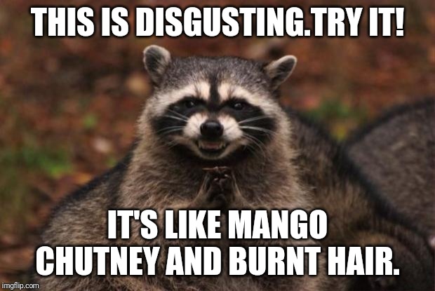 evil genius racoon | THIS IS DISGUSTING.TRY IT! IT'S LIKE MANGO CHUTNEY AND BURNT HAIR. | image tagged in evil genius racoon | made w/ Imgflip meme maker