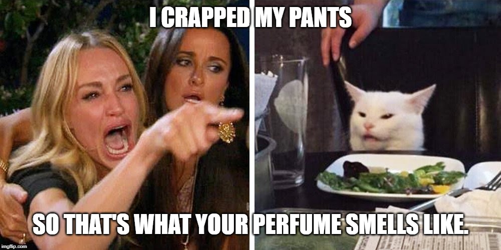 Smudge the cat | I CRAPPED MY PANTS; SO THAT'S WHAT YOUR PERFUME SMELLS LIKE. | image tagged in smudge the cat | made w/ Imgflip meme maker