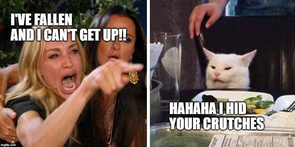 Smudge the cat | I'VE FALLEN AND I CAN'T GET UP!! HAHAHA I HID YOUR CRUTCHES | image tagged in smudge the cat | made w/ Imgflip meme maker