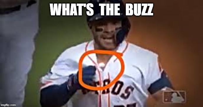 WHAT'S  THE  BUZZ | image tagged in jose altuve,buzzer,mlb,houston astros,sign stealing | made w/ Imgflip meme maker