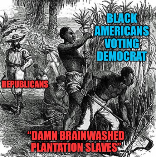 I’ve never heard a black Republican called an “Uncle Tom” on ImgFlip. I have heard black Democrats called “plantation slaves.” | BLACK AMERICANS VOTING DEMOCRAT; REPUBLICANS; “DAMN BRAINWASHED PLANTATION SLAVES” | image tagged in plantation slaves,democrats,democratic party,conservative hypocrisy,conservative logic,republicans | made w/ Imgflip meme maker